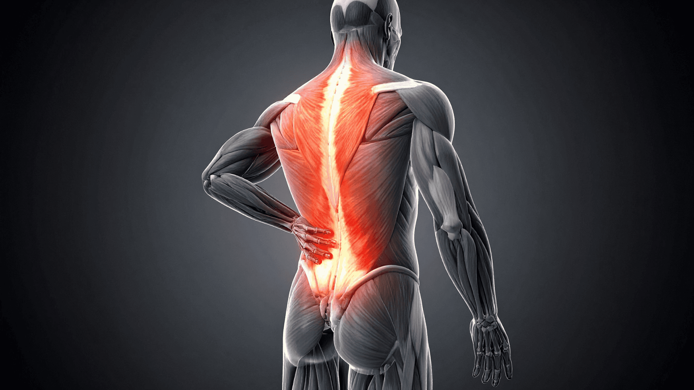 chronic spine pain